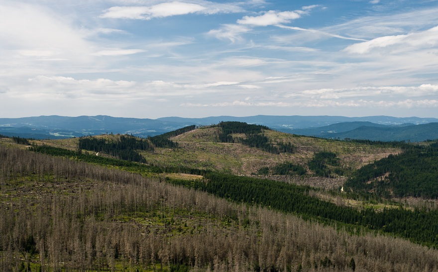 img00021.jpg