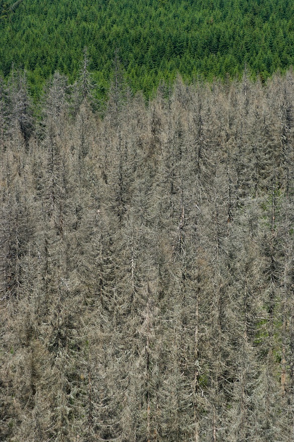 img00022.jpg