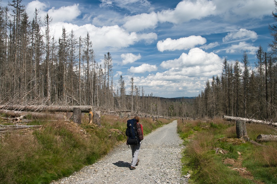 img00029.jpg