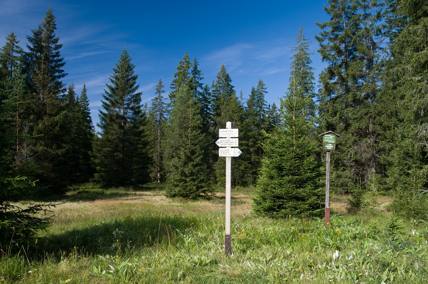 img00036.jpg
