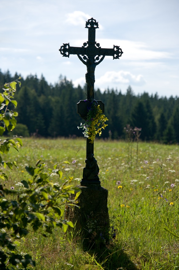 img00037.jpg