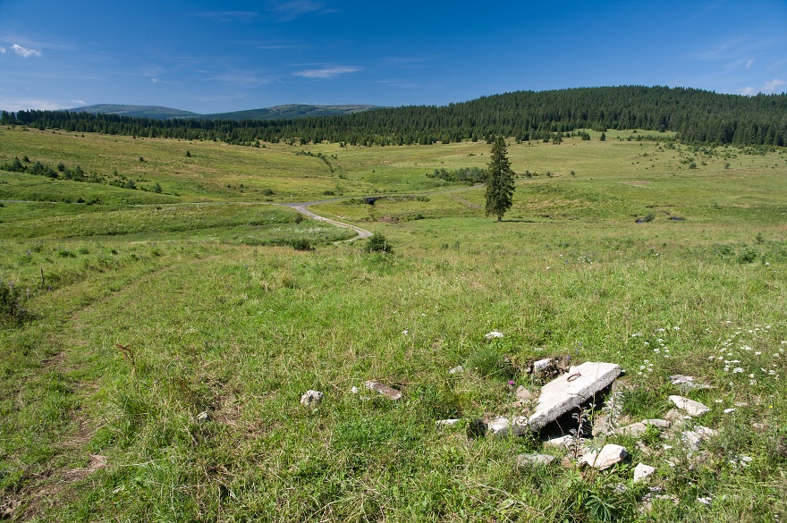 img00040.jpg