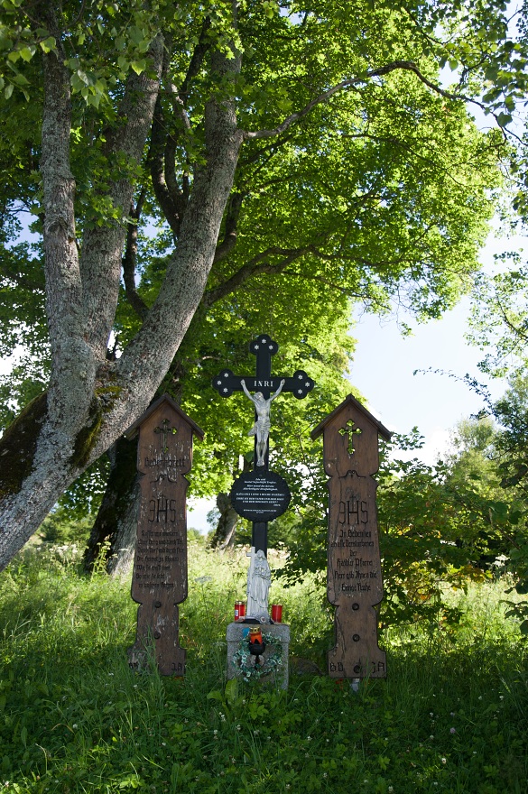 img00041.jpg