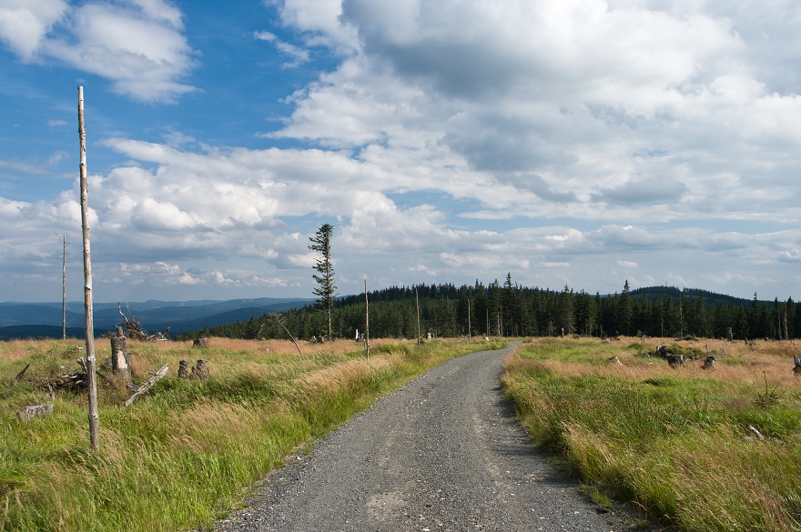 img00049.jpg