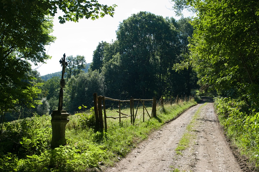 img00055.jpg