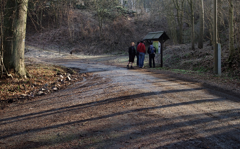 IMG48076.jpg