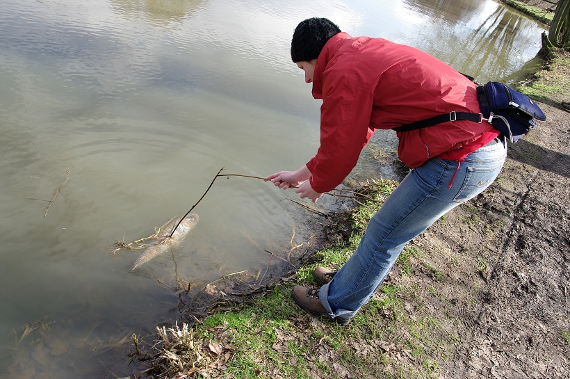 IMG48347.jpg