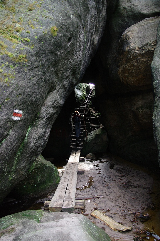 IMG48572.jpg