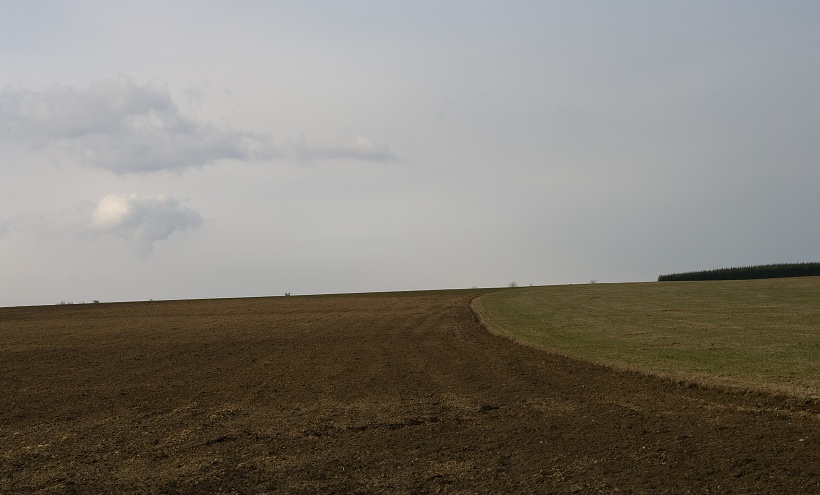 IMG48607.jpg