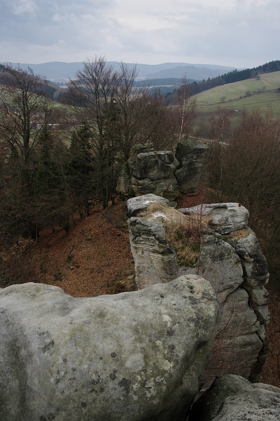 IMG48704.jpg