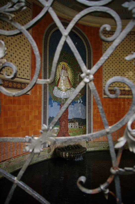 IMG48787.jpg