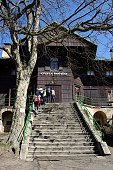 thn_IMG48520.jpg