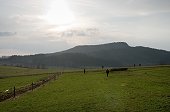 thn_IMG48604.jpg