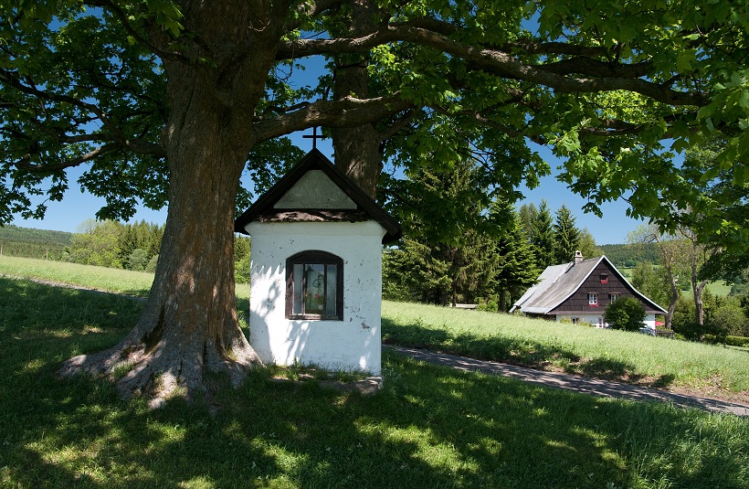 IMG31123.jpg