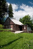 thn_IMG30784.jpg