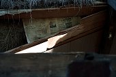 thn_IMG30845.jpg
