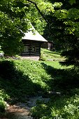 thn_IMG31116.jpg