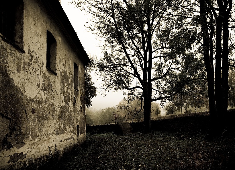 IMG39520-Edit.jpg
