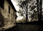 thn_IMG39520-Edit.jpg