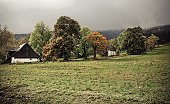 thn_IMG39858.jpg