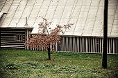 thn_IMG39869.jpg