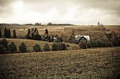 thn_IMG39883.jpg