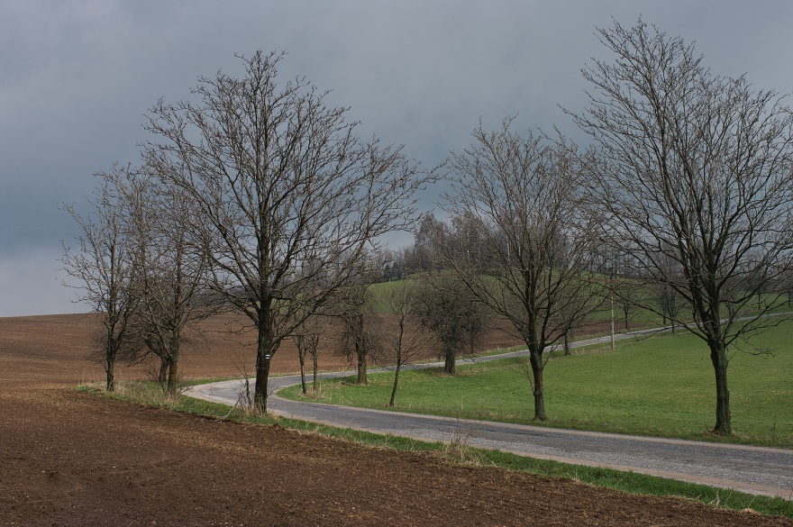 img00009.jpg