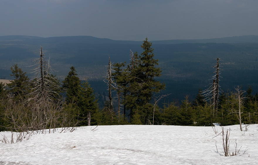 img00013.jpg