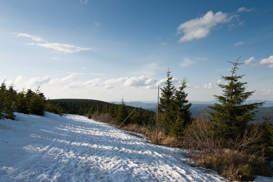 img00020.jpg