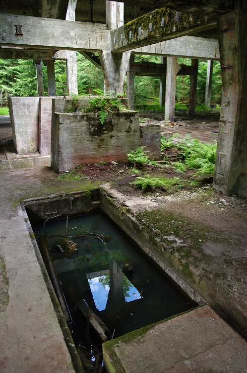 img00006.jpg