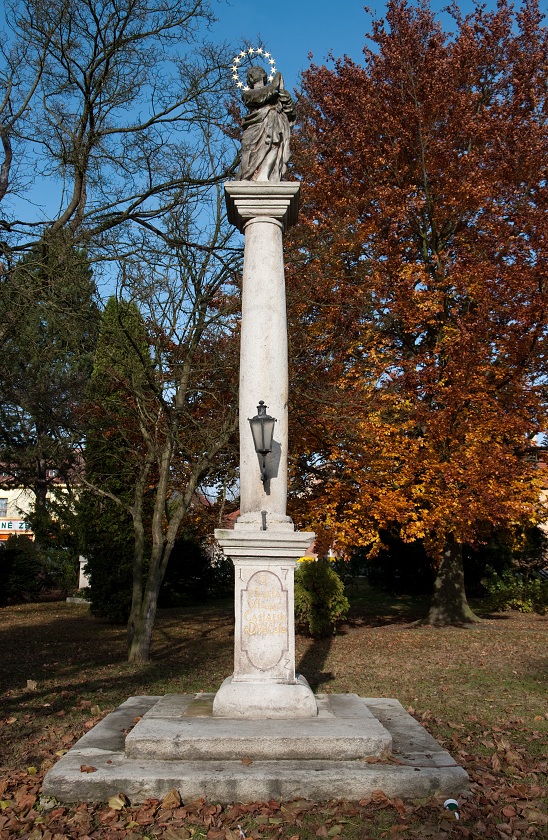 IMG41588.jpg