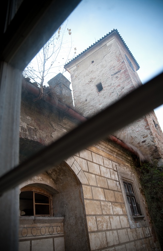 IMG41635.jpg