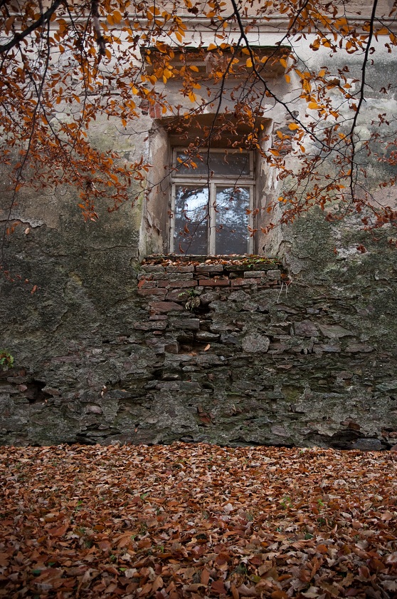 IMG41678_prevod.jpg