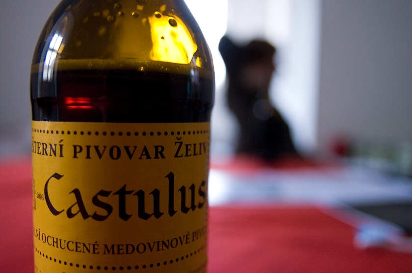 IMG41706_prevod.jpg
