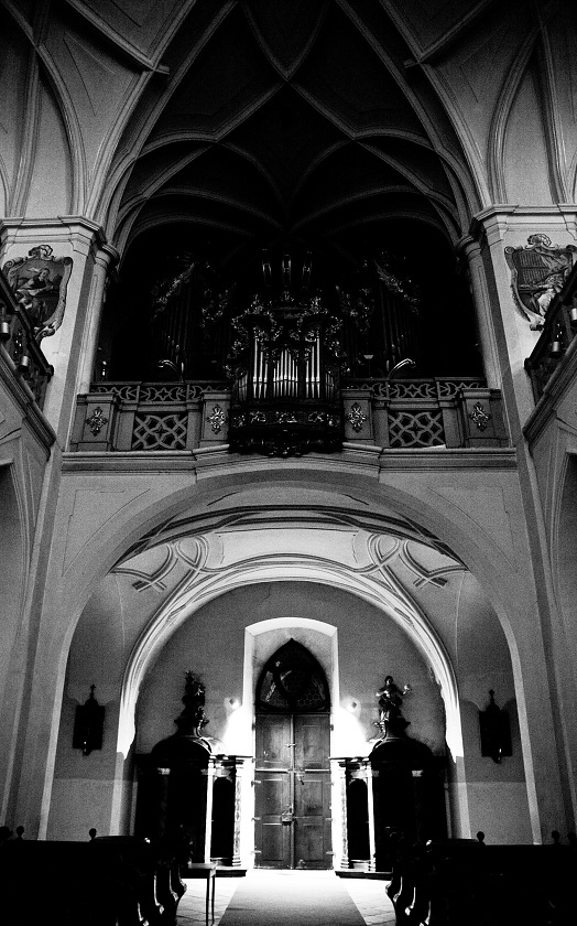 IMG41753_prevod.jpg