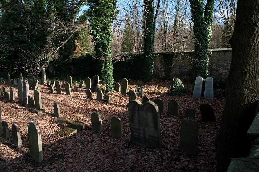 IMG41834_prevod.jpg