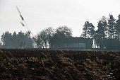 thn_IMG41553.jpg